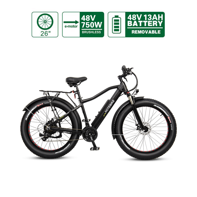 26'' 48V 750W Hidden Controller Fat tire mountain electric power assist