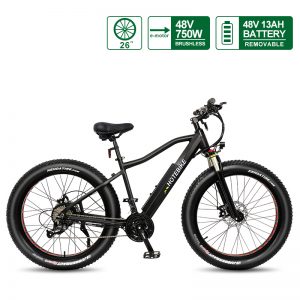 mountain bikes with motors