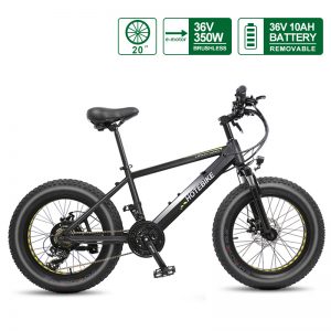 electric fat bike 36v 350w