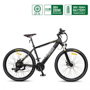 electric bicycle shop near me