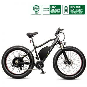 2000 watt e bike