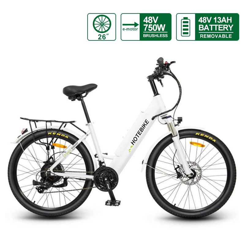 26 inch electric bike city bike mountain bike for adults (A5AH26-48V750W)