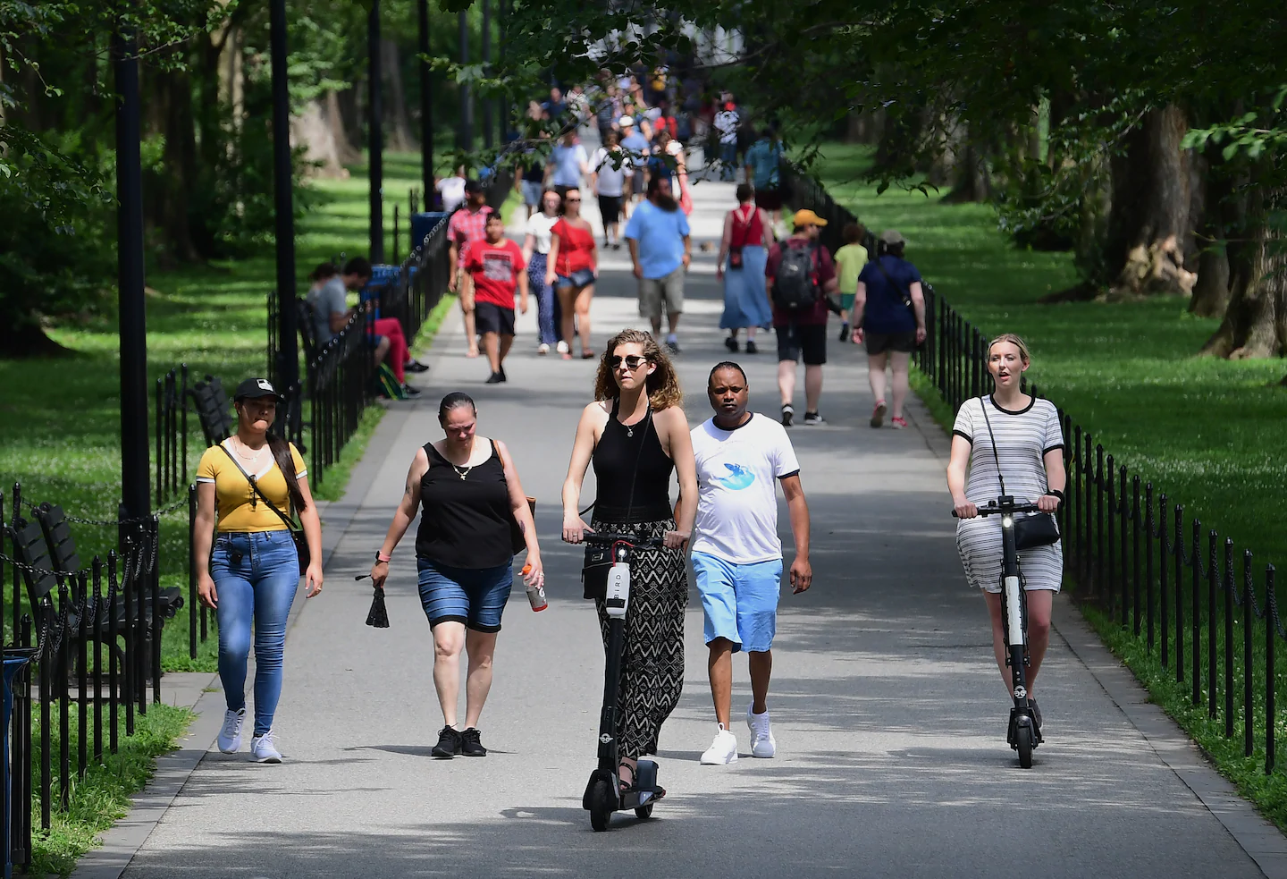 D.C. Council to weigh legislation further regulating scooter use in the city and DDOT information