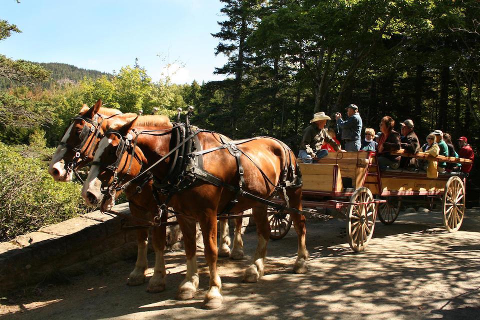 eBikes And Horse-Drawn Carriages Don’t Always Mix At Acadia National Park