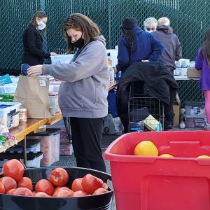 A special day of caring in Rochester