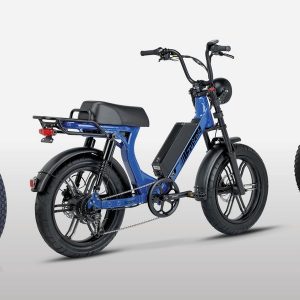 Best Fat Tire E-Bikes 2020