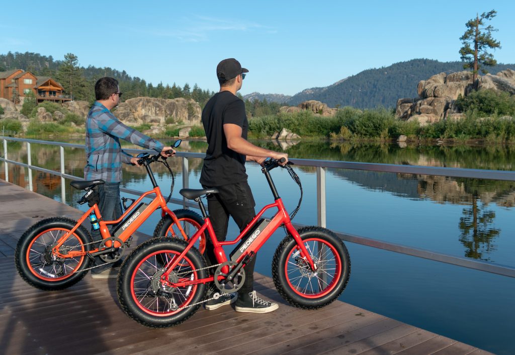 Pedego Electric Bike and HOTEBIKE Electric Bicycle Review