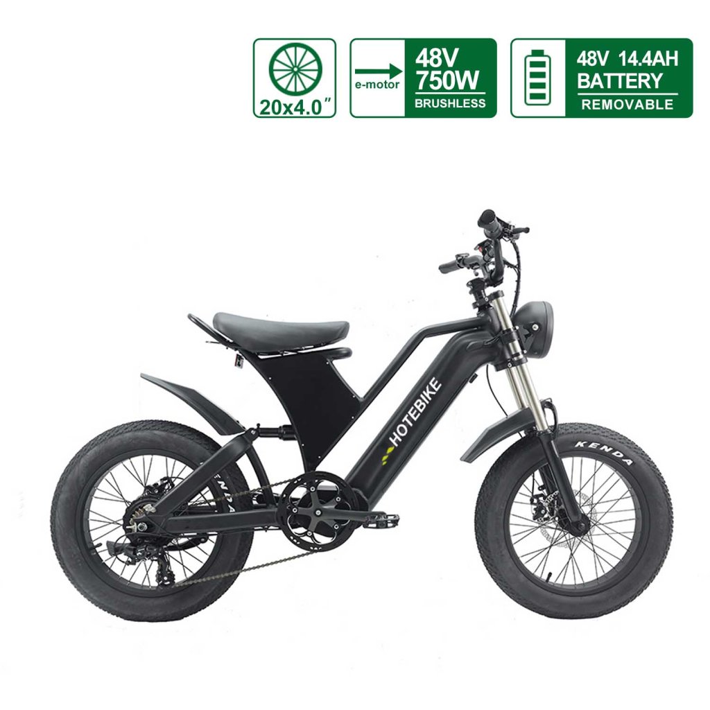 750W Electric Bike for Adults 48V Removable Battery 20″ Fat Tires Ebike