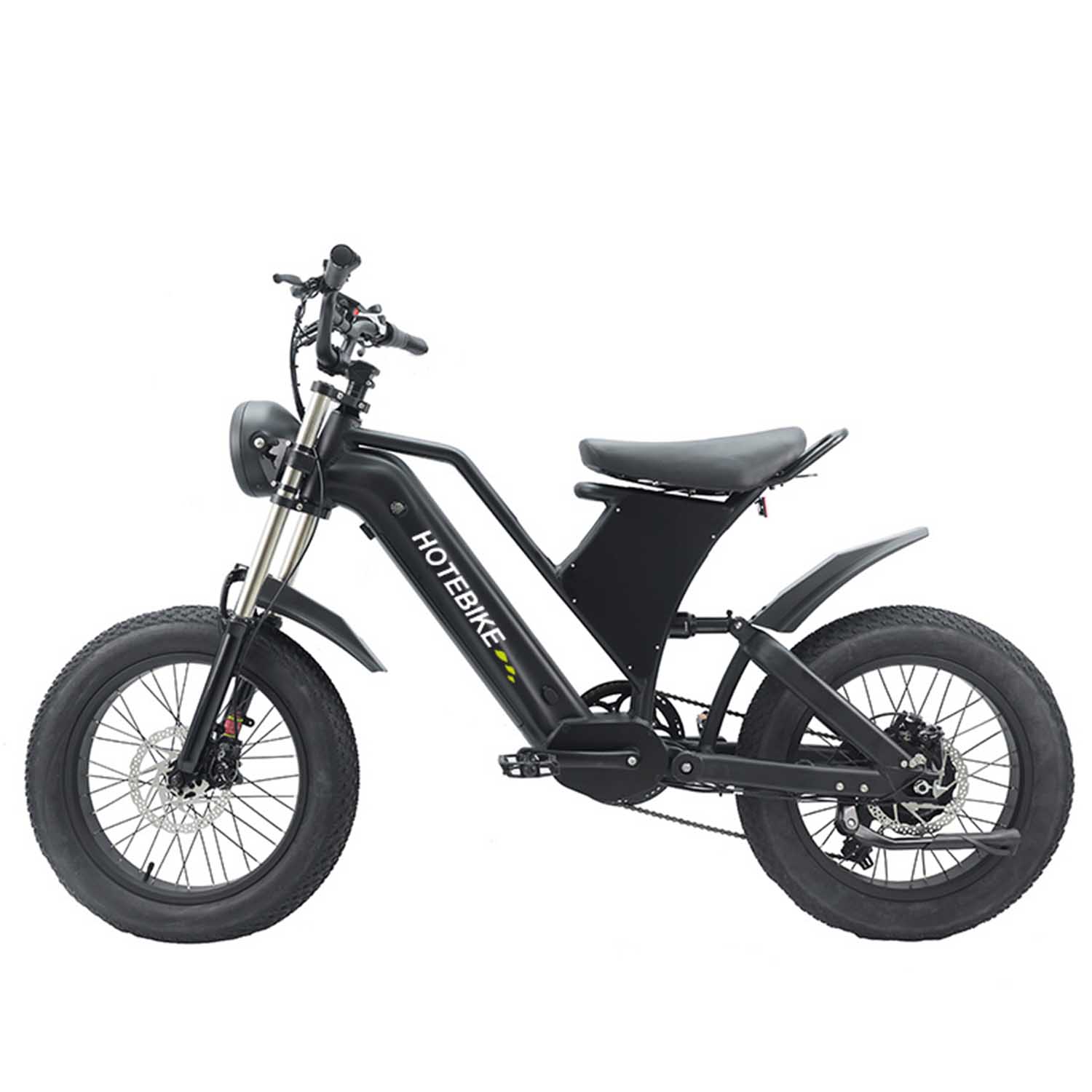 Fat Tire Electric Bike 48V 750W Ebike with Removable Battery for Adults