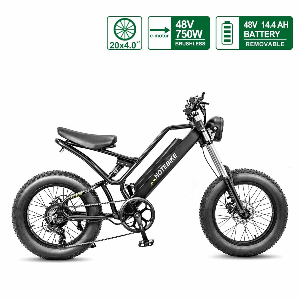 Fat Tire Electric Bike 48V 750W Ebike with Removable Battery for Adults