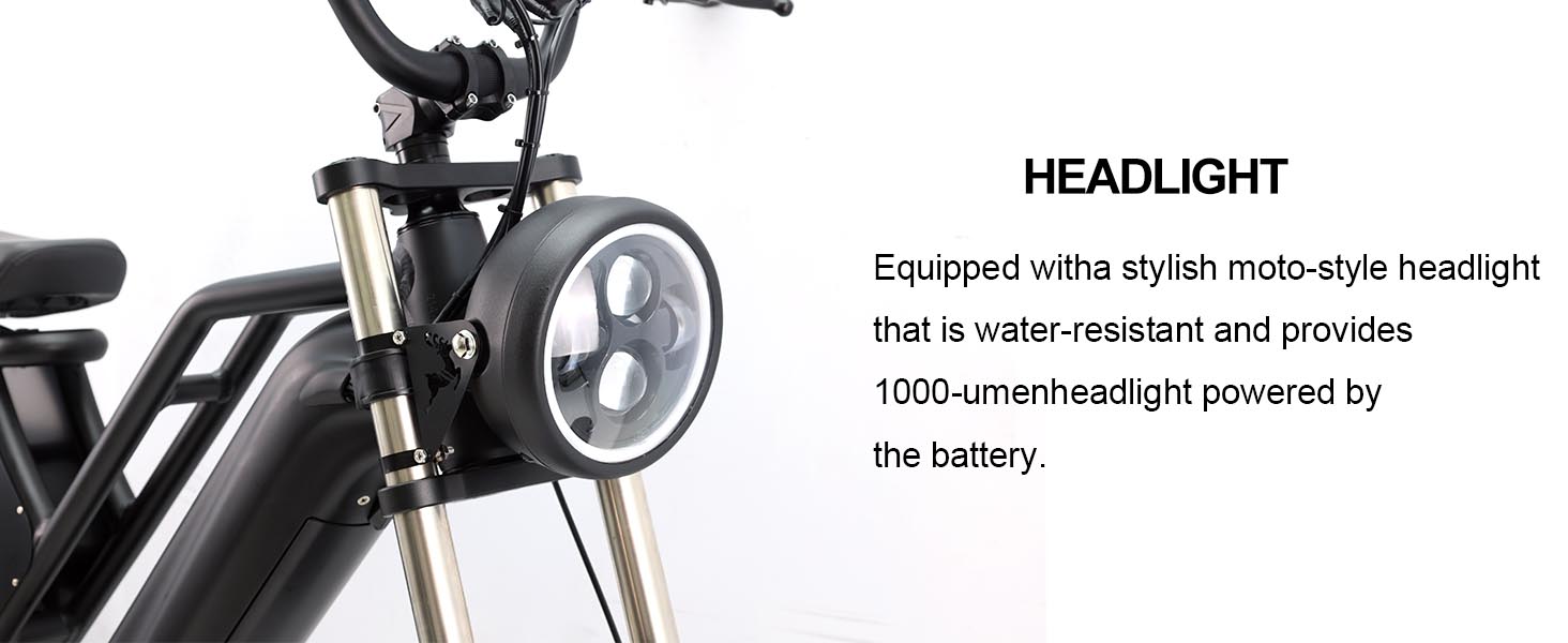 750W Electric Bike for Adults 48V Removable Battery 20